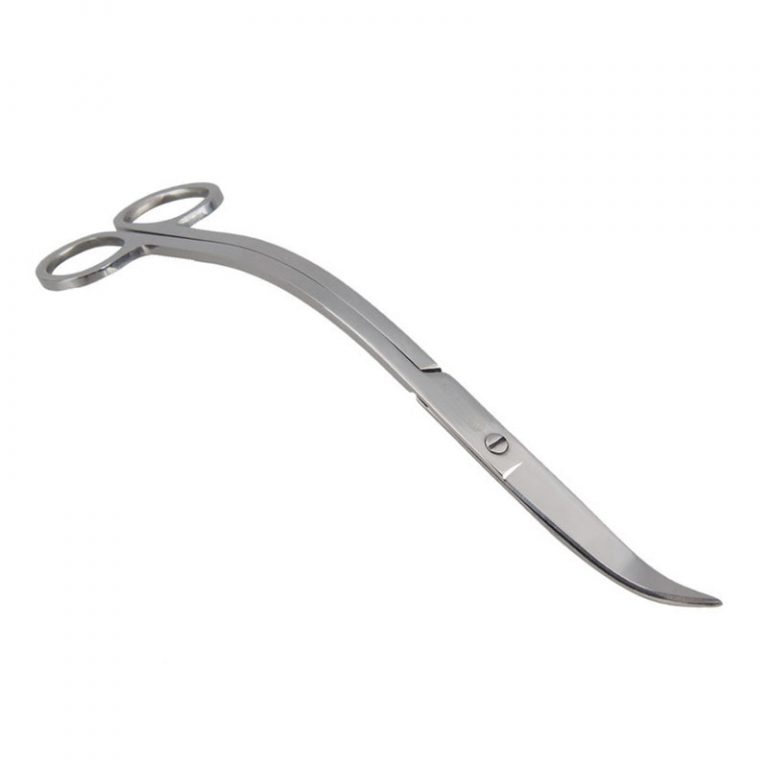 Shop Stainless Steel 25cm Curved Aquarium Plant Scissors - Wave Scissors For Aquascaping & Fish Tank Plants | Buy Now With Express International Delivery