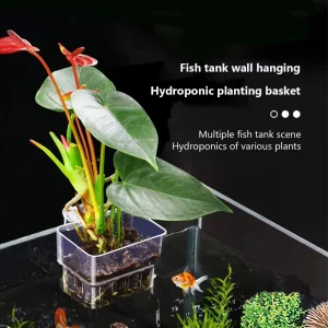 Auqarium_Plant_Holder_product_image2_with_plants Product image of Aquarium plant holder with a hydroponic plant in it hanging inside an aquarium.