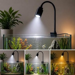 Mini Aquarium LED Clip Spotlight - India